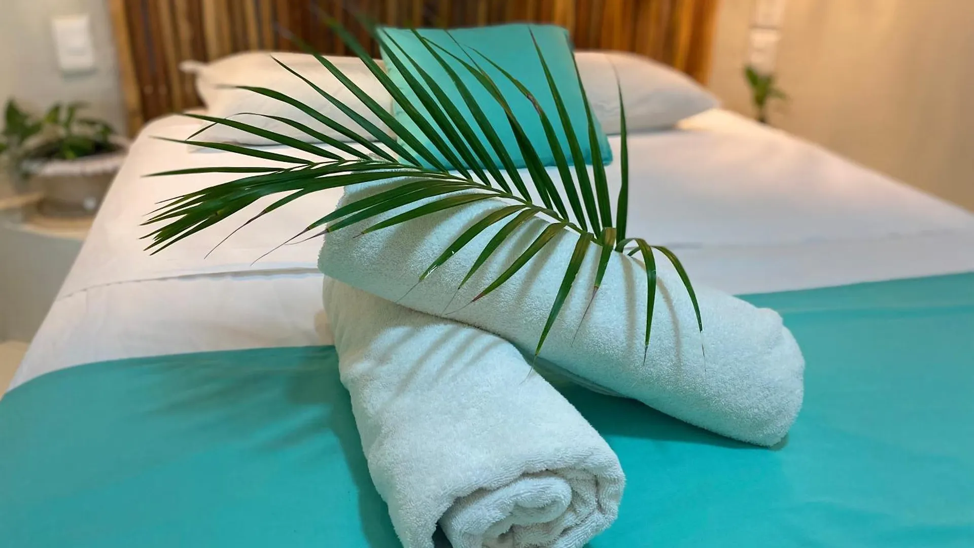 Отель Nature Stay (Adults Only) Плая-дель-Кармен