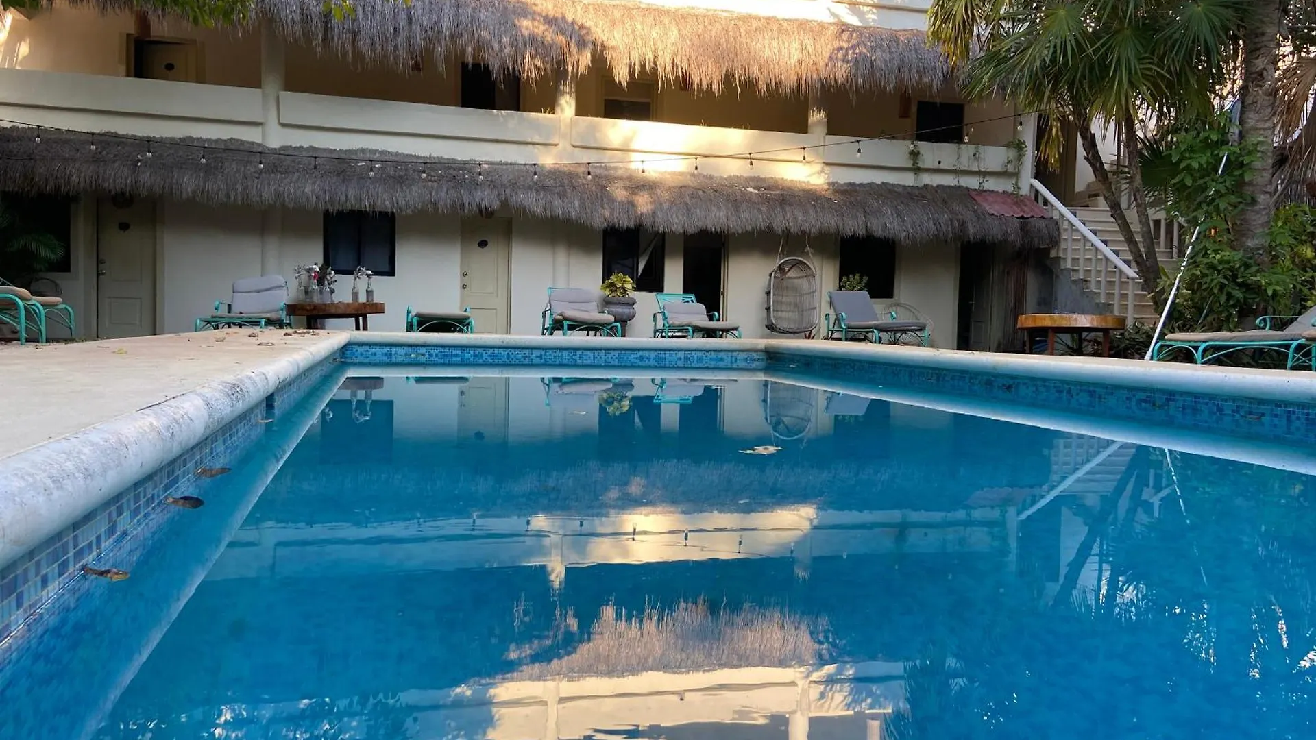 Nature Stay (Adults Only) Плая-дель-Кармен Мексика