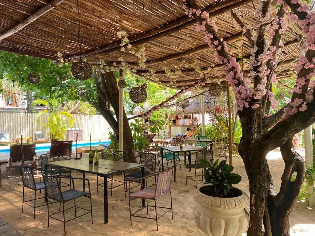 Отель Nature Stay (Adults Only) Плая-дель-Кармен