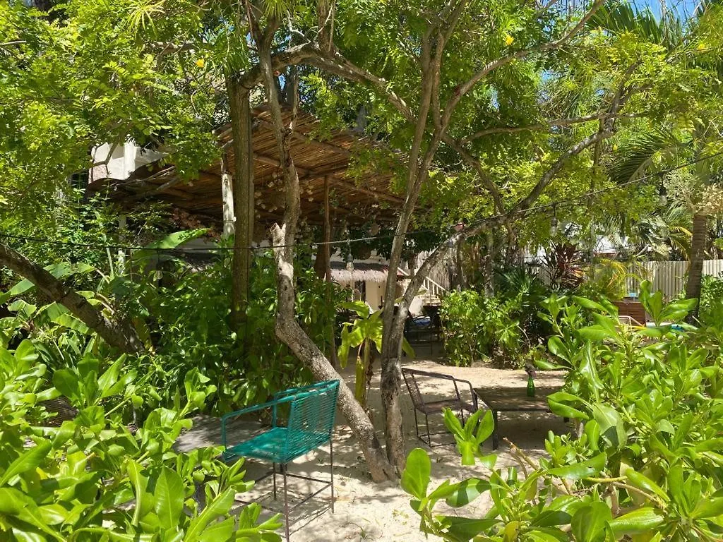 Nature Stay (Adults Only) Плая-дель-Кармен 3*,  Мексика