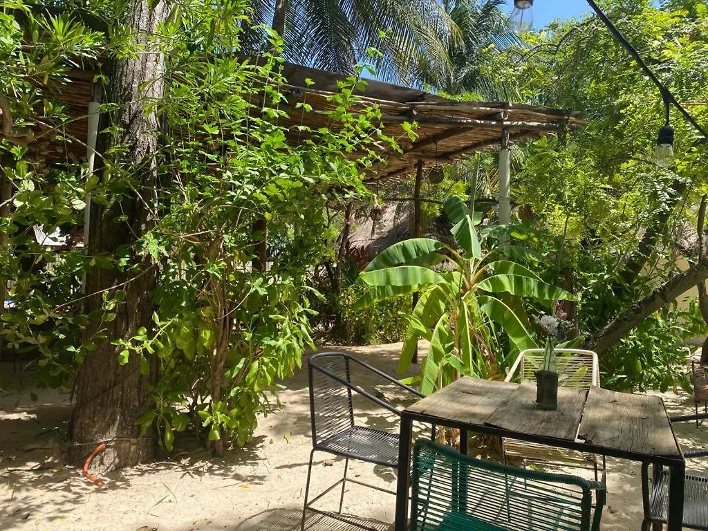 Nature Stay (Adults Only) Плая-дель-Кармен Отель