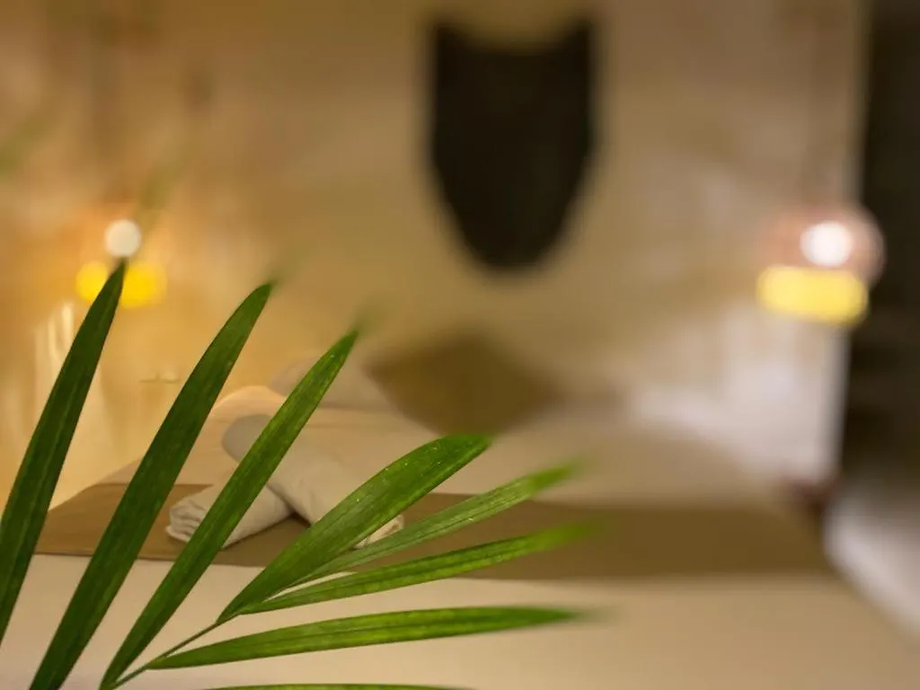 Nature Stay (Adults Only) Плая-дель-Кармен 3*,