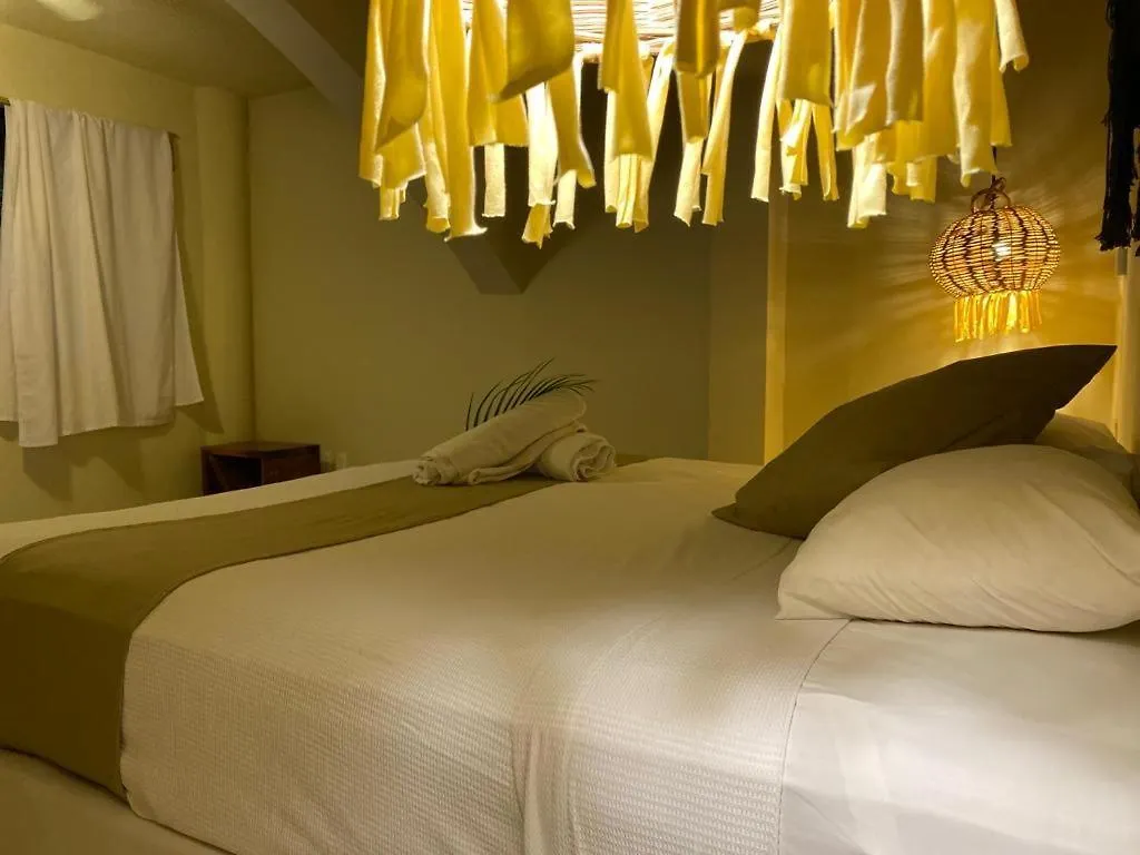 Nature Stay (Adults Only) Плая-дель-Кармен Отель