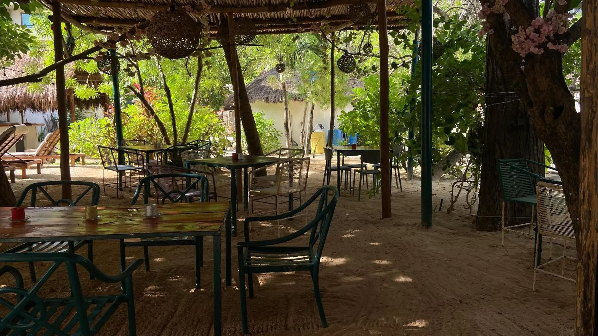 *** Отель Nature Stay (Adults Only) Плая-дель-Кармен Мексика