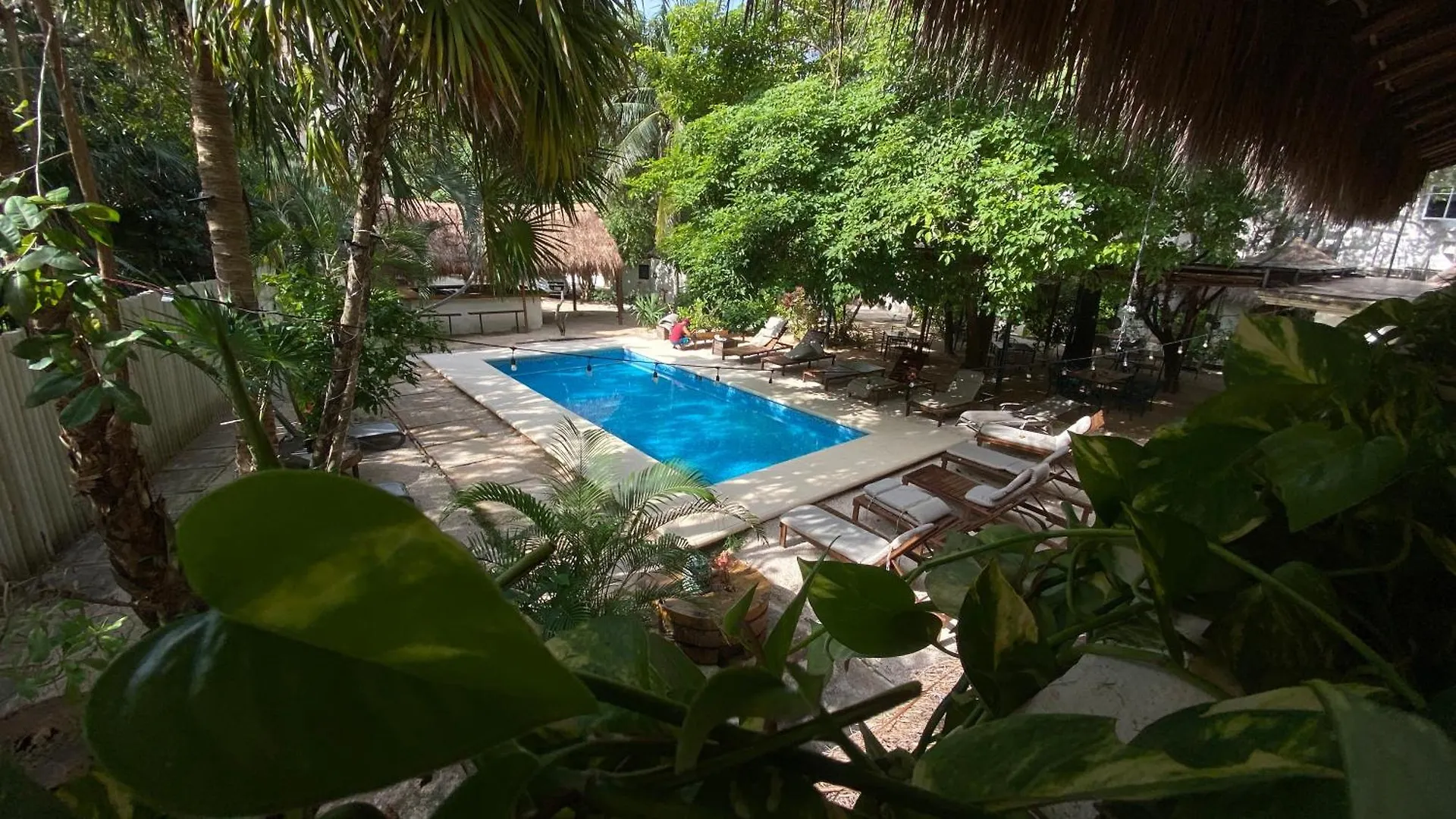 Nature Stay (Adults Only) Плая-дель-Кармен