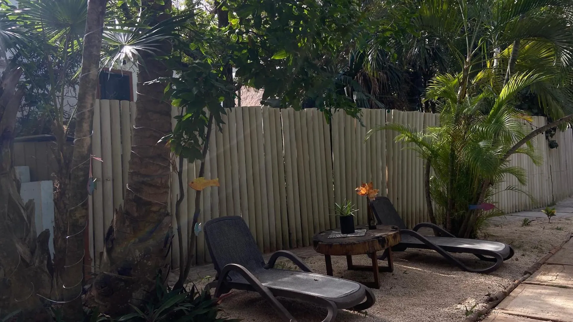 Nature Stay (Adults Only) Плая-дель-Кармен 3*,