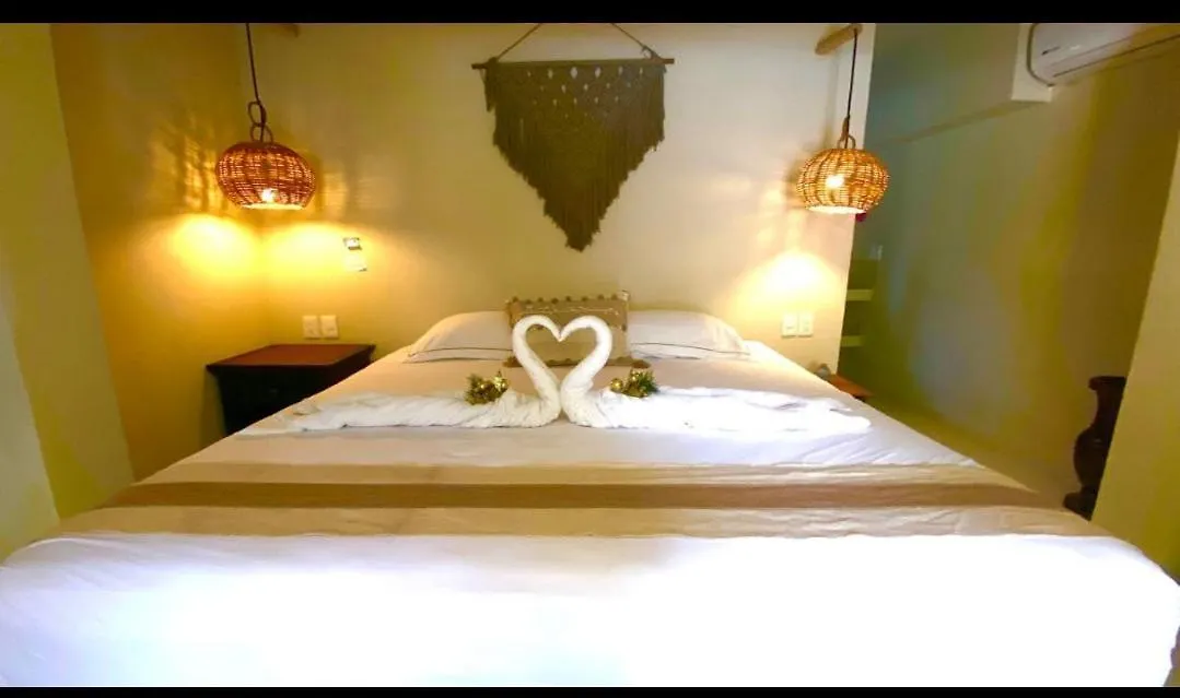 Hotell Nature Stay (Adults Only) Playa del Carmen