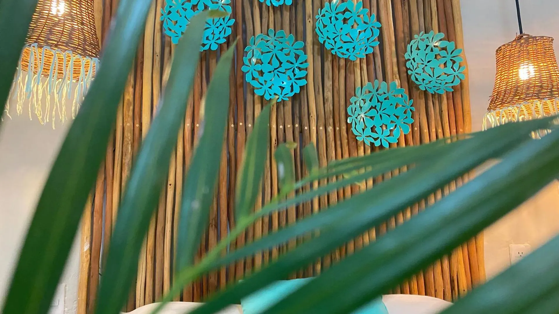 Nature Stay (Adults Only) Playa del Carmen Mexico