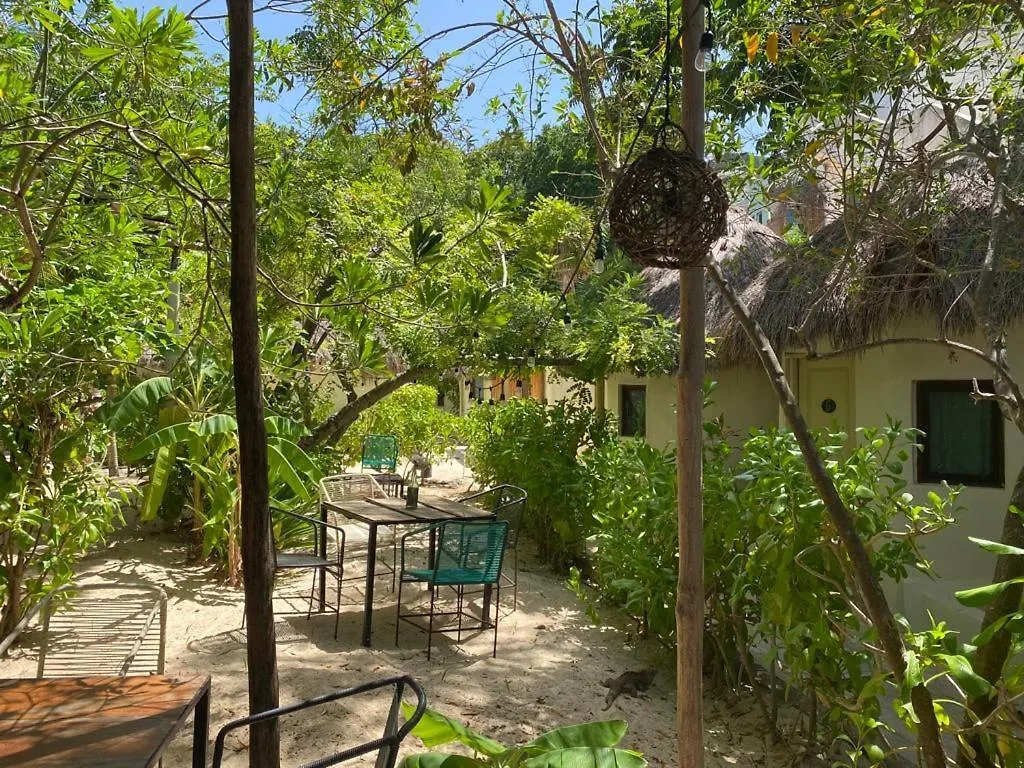 *** Hotel Nature Stay (Adults Only) Playa del Carmen Mexico