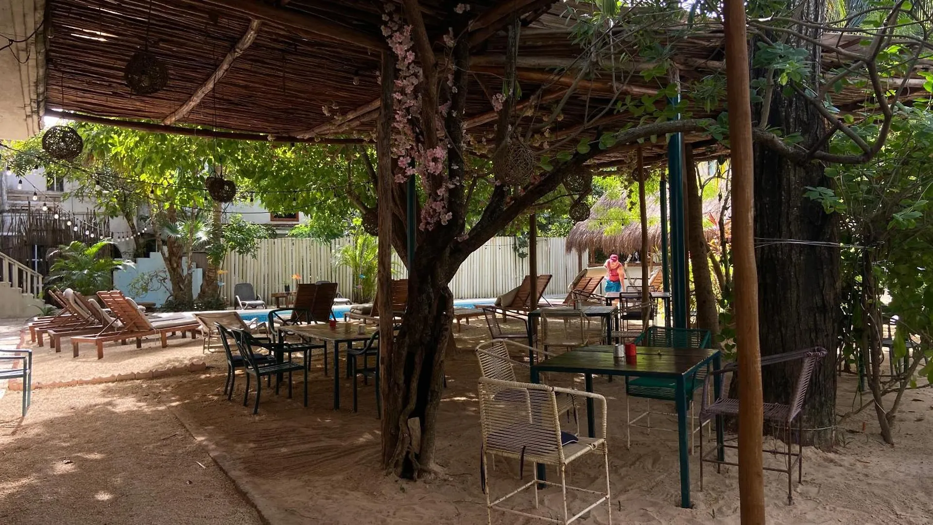 Nature Stay (Adults Only) Playa del Carmen Mexico