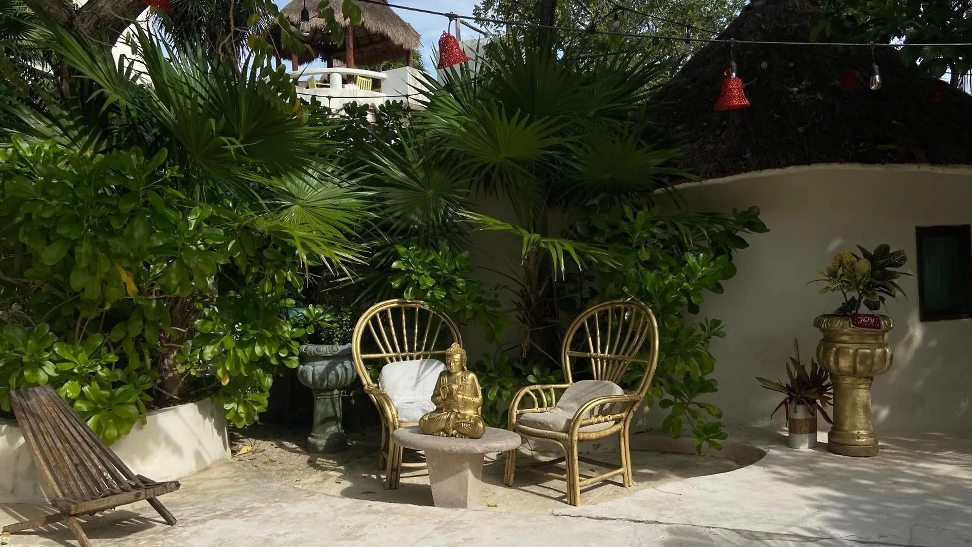 *** Hotel Nature Stay (Adults Only) Playa del Carmen Mexico