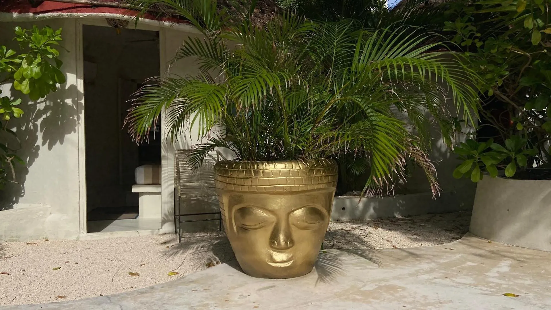 Nature Stay (Adults Only) Playa del Carmen 3*,  Mexico