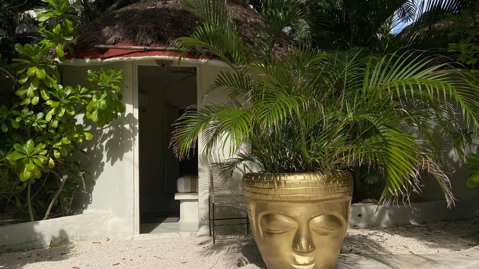 Nature Stay (Adults Only) Playa del Carmen 3*,