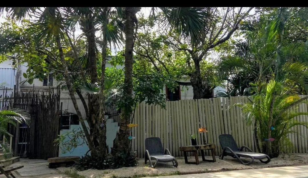 Nature Stay (Adults Only) Playa del Carmen 3*,  Mexico